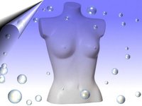 Weiblicher Frauen Torso ~ Büsten Oberkörper